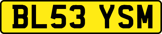 BL53YSM