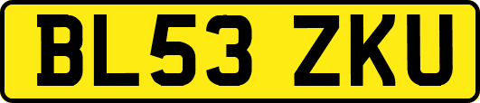 BL53ZKU