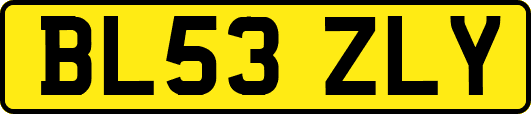 BL53ZLY