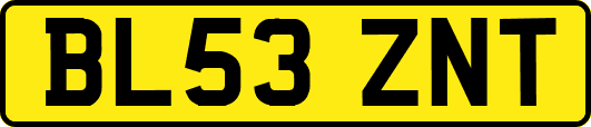 BL53ZNT