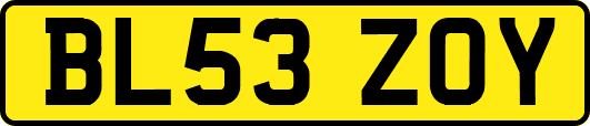 BL53ZOY