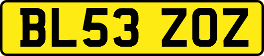 BL53ZOZ