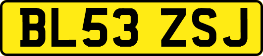 BL53ZSJ