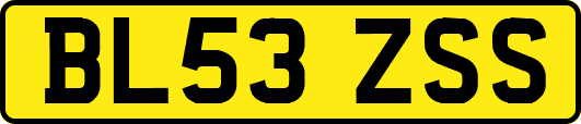 BL53ZSS