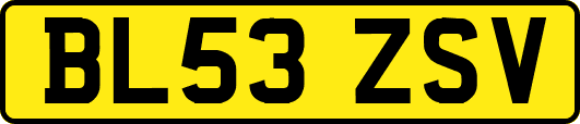 BL53ZSV