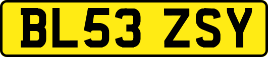 BL53ZSY
