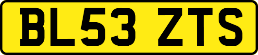 BL53ZTS