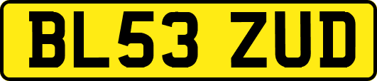 BL53ZUD
