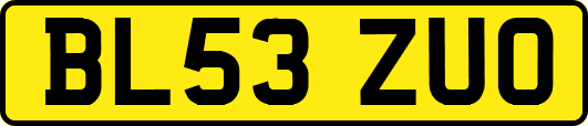 BL53ZUO