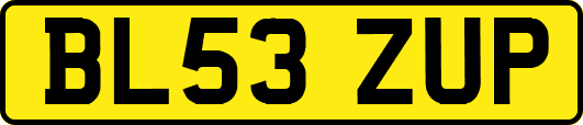 BL53ZUP