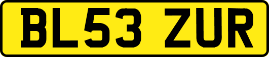 BL53ZUR
