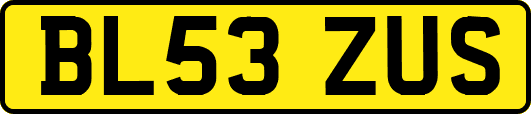 BL53ZUS