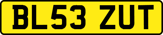 BL53ZUT