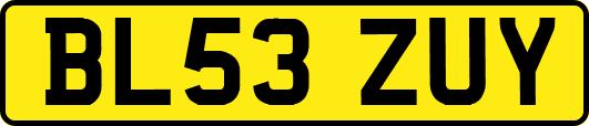 BL53ZUY