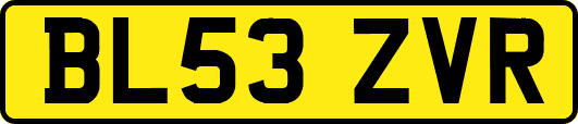 BL53ZVR