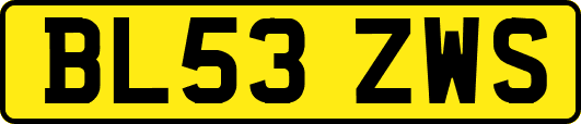 BL53ZWS