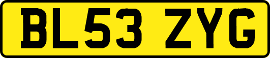 BL53ZYG