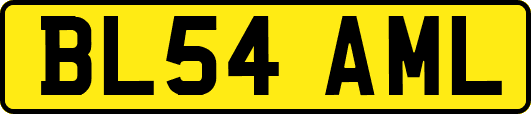 BL54AML