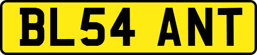 BL54ANT