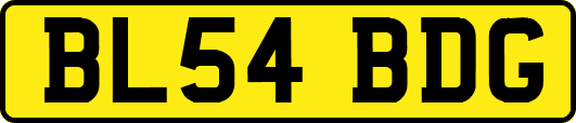 BL54BDG