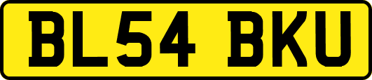 BL54BKU