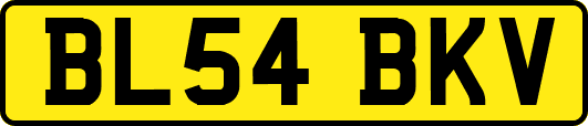 BL54BKV