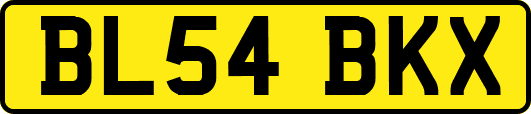 BL54BKX