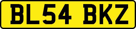 BL54BKZ