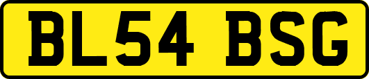 BL54BSG
