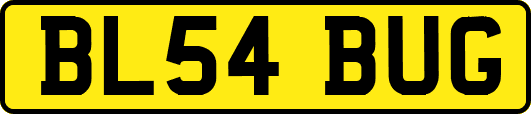 BL54BUG