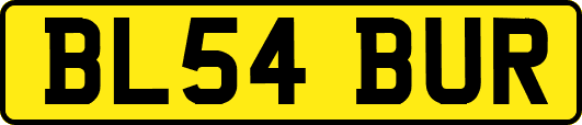 BL54BUR
