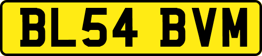BL54BVM