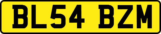 BL54BZM