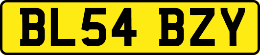 BL54BZY