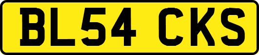BL54CKS