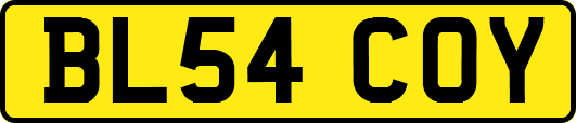BL54COY