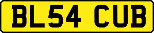 BL54CUB