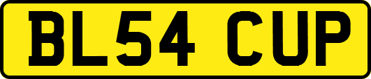 BL54CUP