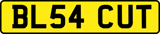 BL54CUT