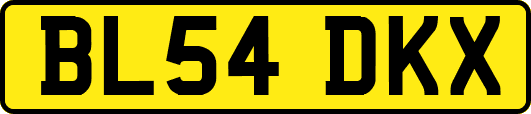 BL54DKX