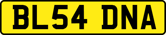 BL54DNA