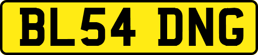 BL54DNG