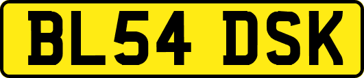 BL54DSK