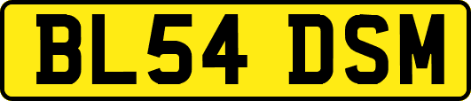 BL54DSM