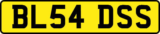 BL54DSS