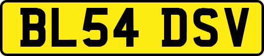 BL54DSV