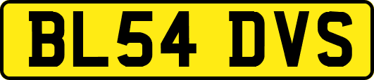 BL54DVS