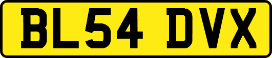 BL54DVX