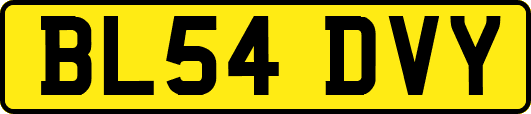 BL54DVY