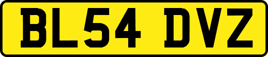 BL54DVZ